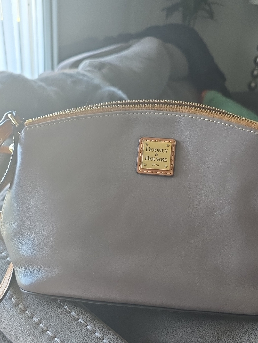 Dooney & Bourke Taupe Leather Crossbody with Gold Hardware